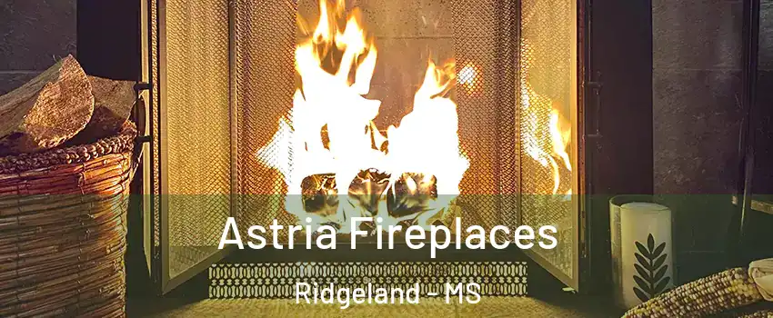  Astria Fireplaces Ridgeland - MS