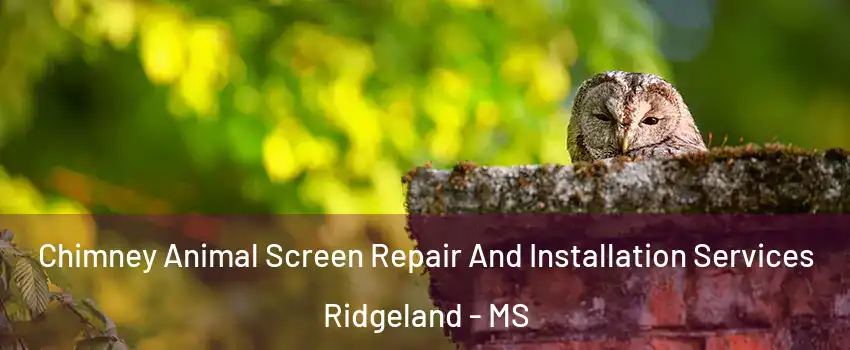  Chimney Animal Screen Repair And Installation Services Ridgeland - MS