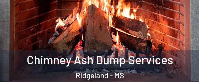  Chimney Ash Dump Services Ridgeland - MS