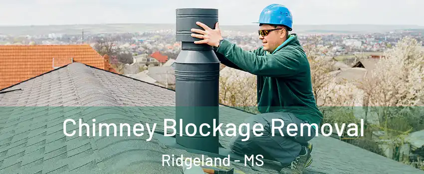  Chimney Blockage Removal Ridgeland - MS