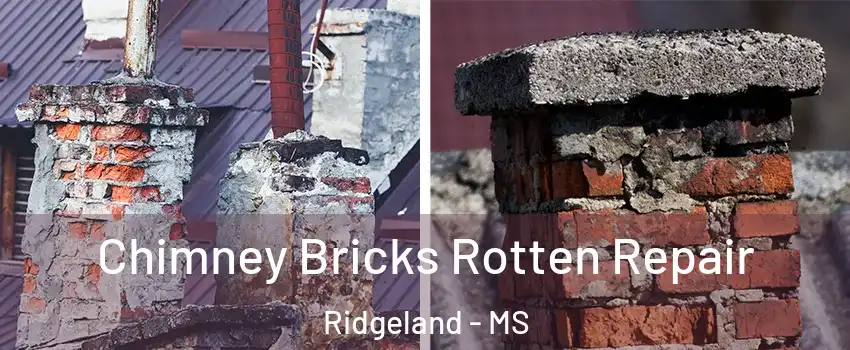  Chimney Bricks Rotten Repair Ridgeland - MS
