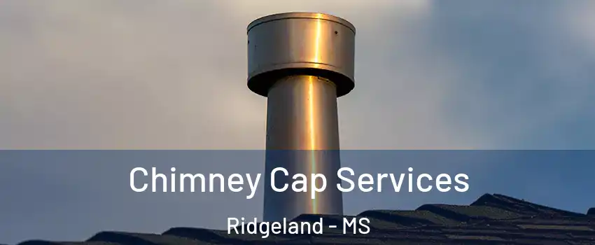  Chimney Cap Services Ridgeland - MS