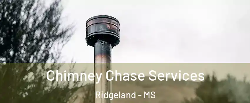  Chimney Chase Services Ridgeland - MS