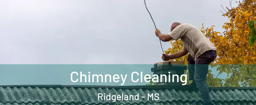  Chimney Cleaning Ridgeland - MS