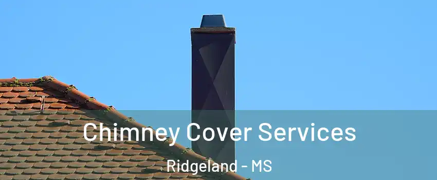  Chimney Cover Services Ridgeland - MS