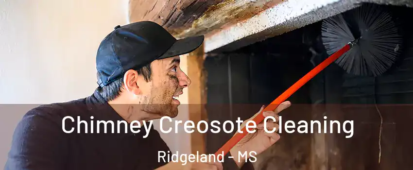  Chimney Creosote Cleaning Ridgeland - MS