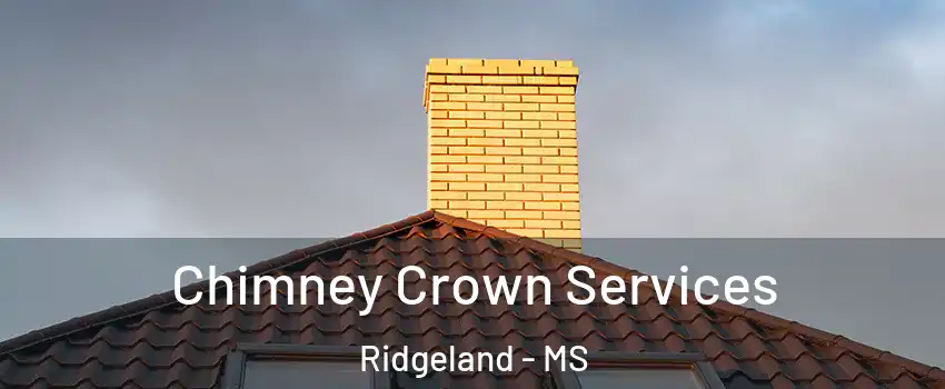 Chimney Crown Services Ridgeland - MS