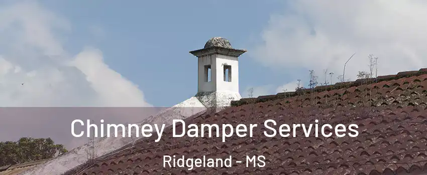 Chimney Damper Services Ridgeland - MS