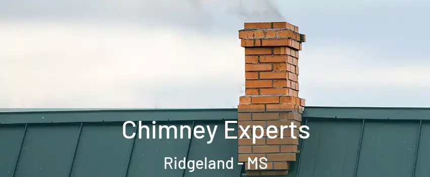 Chimney Experts Ridgeland - MS