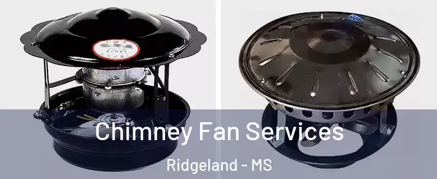  Chimney Fan Services Ridgeland - MS