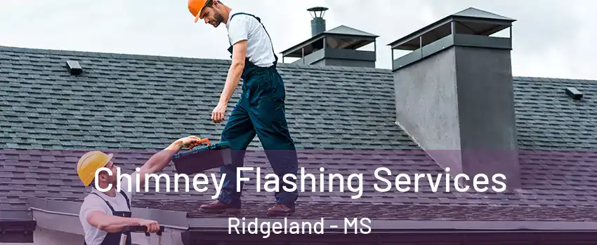 Chimney Flashing Services Ridgeland - MS