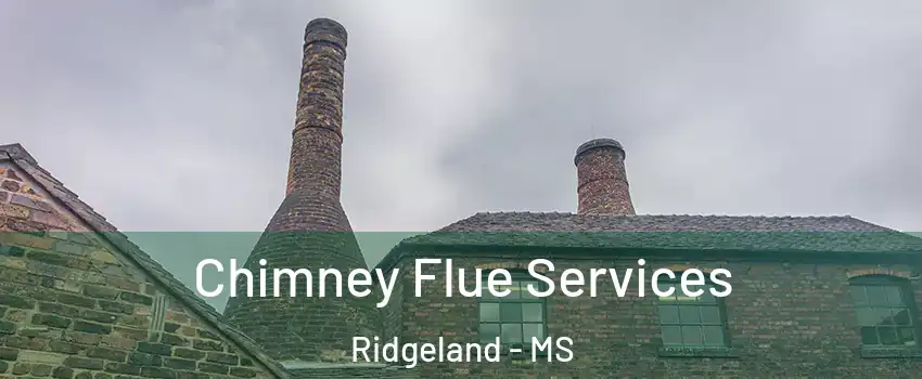  Chimney Flue Services Ridgeland - MS