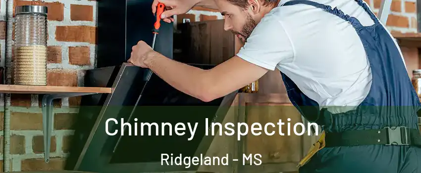  Chimney Inspection Ridgeland - MS