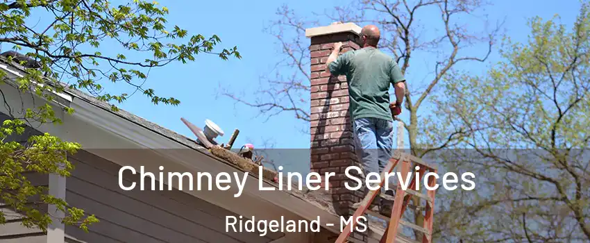  Chimney Liner Services Ridgeland - MS
