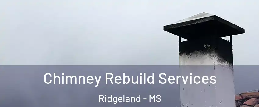  Chimney Rebuild Services Ridgeland - MS