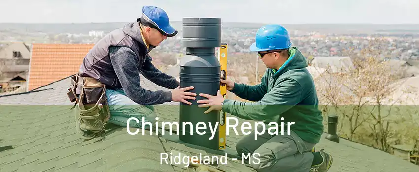 Chimney Repair Ridgeland - MS