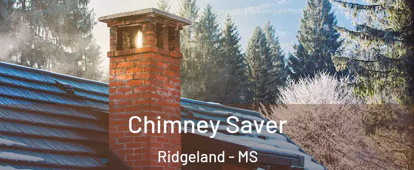  Chimney Saver Ridgeland - MS