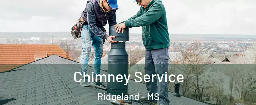  Chimney Service Ridgeland - MS