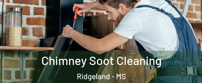  Chimney Soot Cleaning Ridgeland - MS