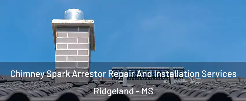  Chimney Spark Arrestor Repair And Installation Services Ridgeland - MS