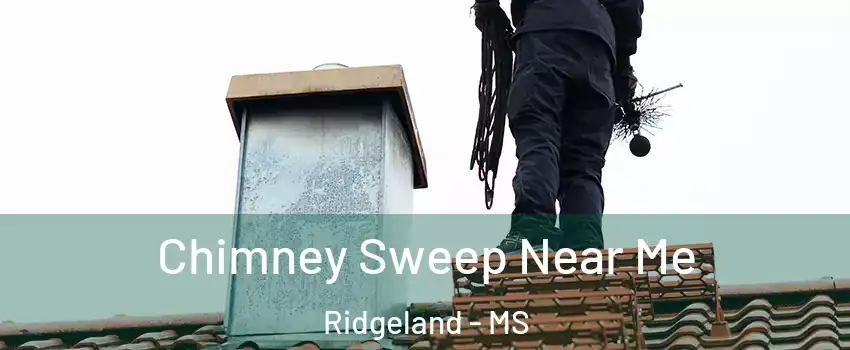  Chimney Sweep Near Me Ridgeland - MS