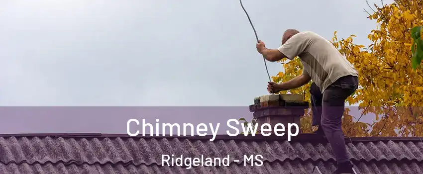  Chimney Sweep Ridgeland - MS