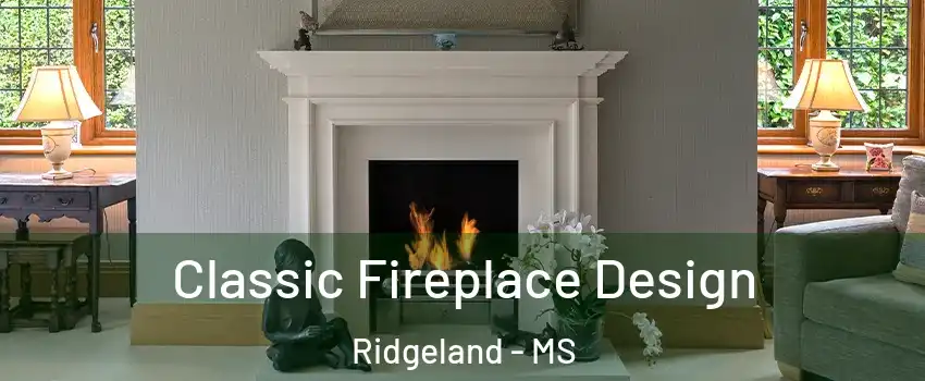  Classic Fireplace Design Ridgeland - MS