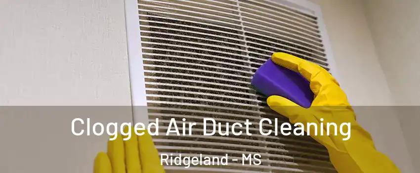  Clogged Air Duct Cleaning Ridgeland - MS