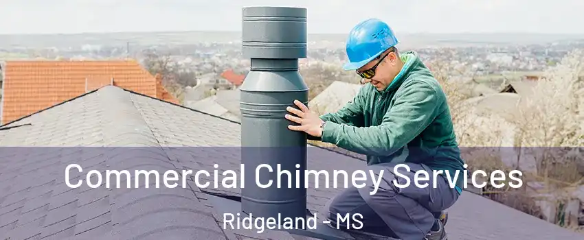  Commercial Chimney Services Ridgeland - MS