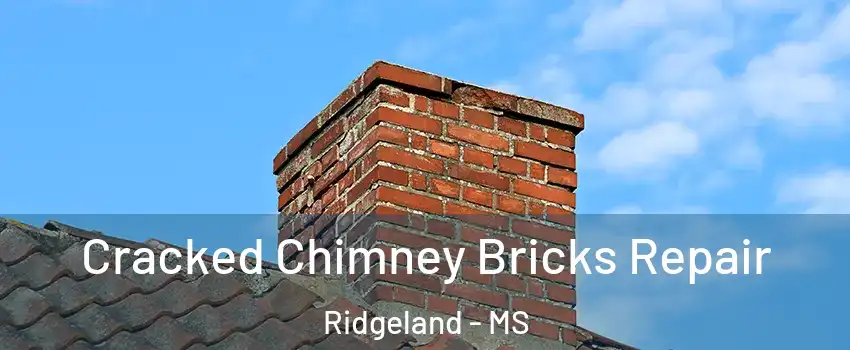  Cracked Chimney Bricks Repair Ridgeland - MS