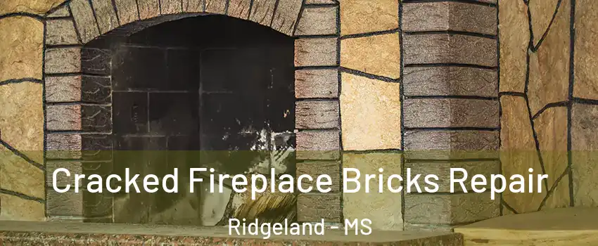  Cracked Fireplace Bricks Repair Ridgeland - MS