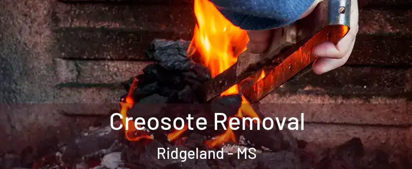  Creosote Removal Ridgeland - MS