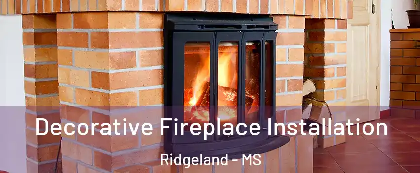  Decorative Fireplace Installation Ridgeland - MS