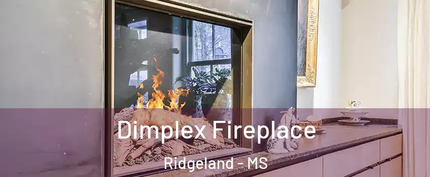  Dimplex Fireplace Ridgeland - MS