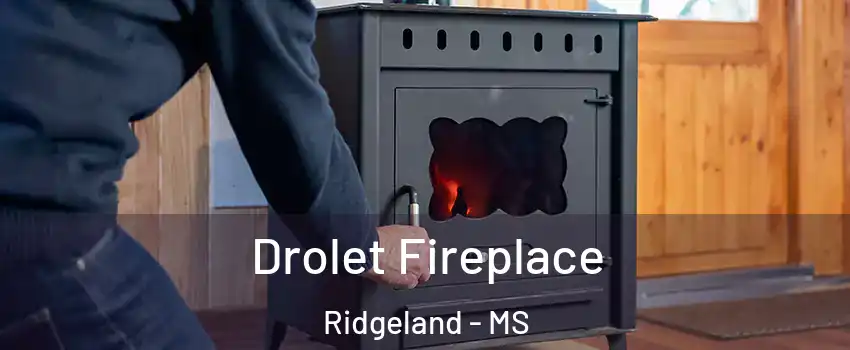  Drolet Fireplace Ridgeland - MS