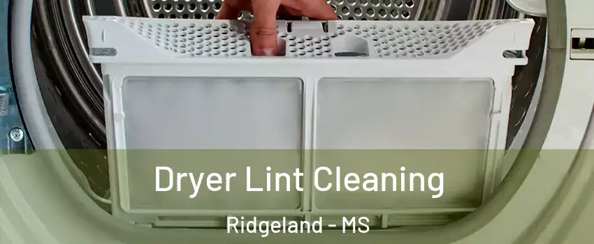  Dryer Lint Cleaning Ridgeland - MS