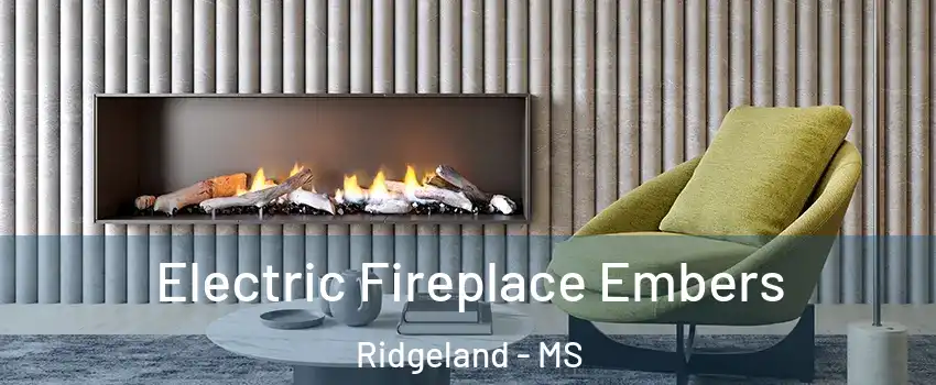  Electric Fireplace Embers Ridgeland - MS