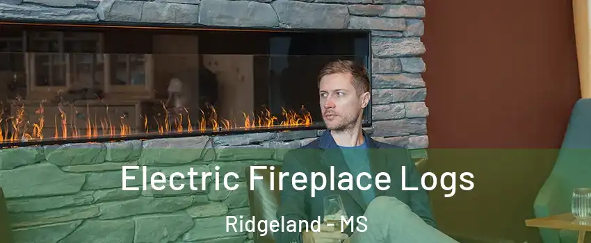  Electric Fireplace Logs Ridgeland - MS