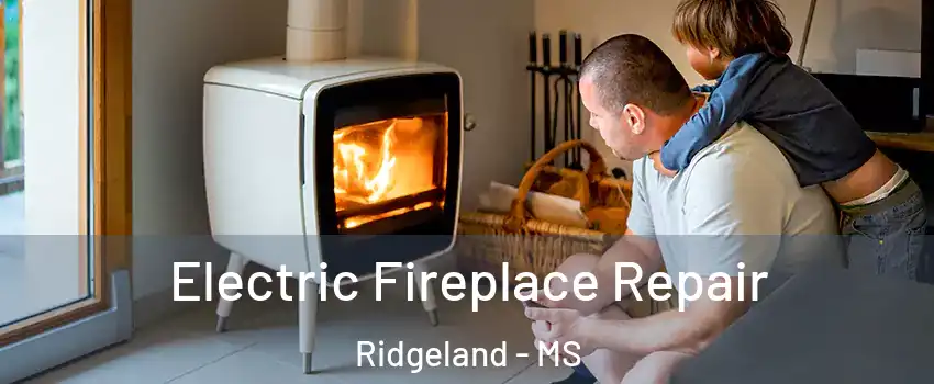  Electric Fireplace Repair Ridgeland - MS
