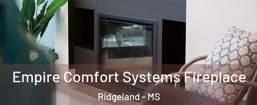  Empire Comfort Systems Fireplace Ridgeland - MS