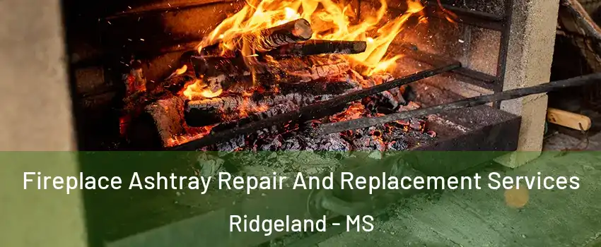  Fireplace Ashtray Repair And Replacement Services Ridgeland - MS