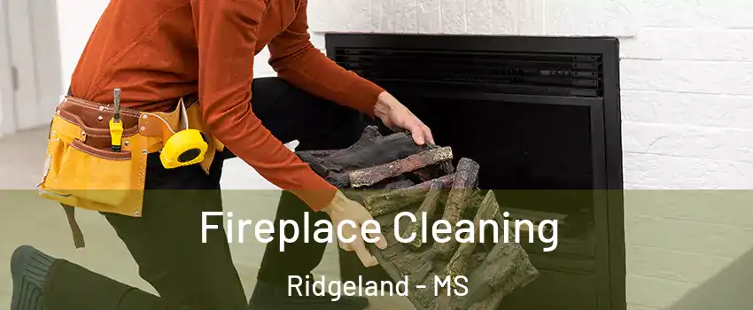  Fireplace Cleaning Ridgeland - MS