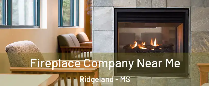  Fireplace Company Near Me Ridgeland - MS