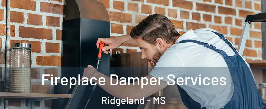  Fireplace Damper Services Ridgeland - MS