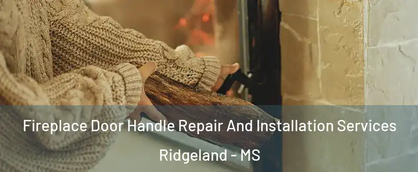  Fireplace Door Handle Repair And Installation Services Ridgeland - MS