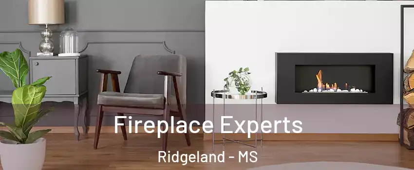  Fireplace Experts Ridgeland - MS