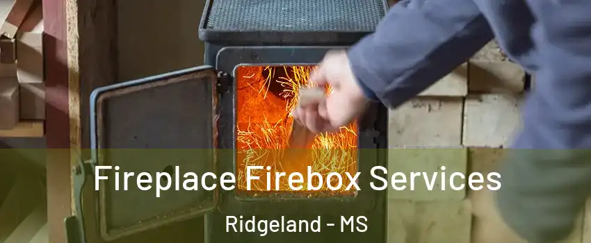  Fireplace Firebox Services Ridgeland - MS