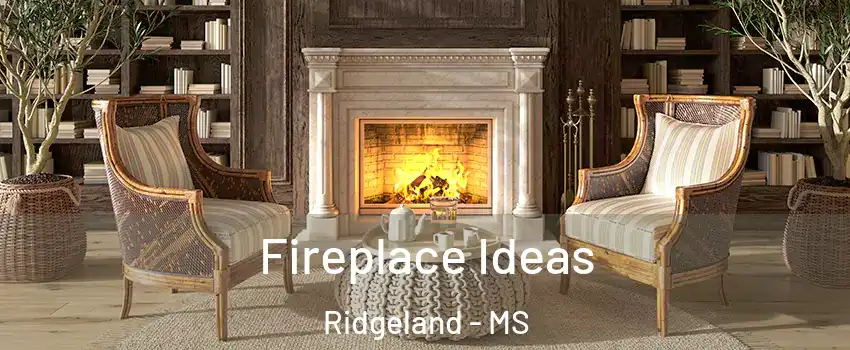  Fireplace Ideas Ridgeland - MS