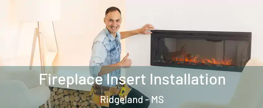  Fireplace Insert Installation Ridgeland - MS