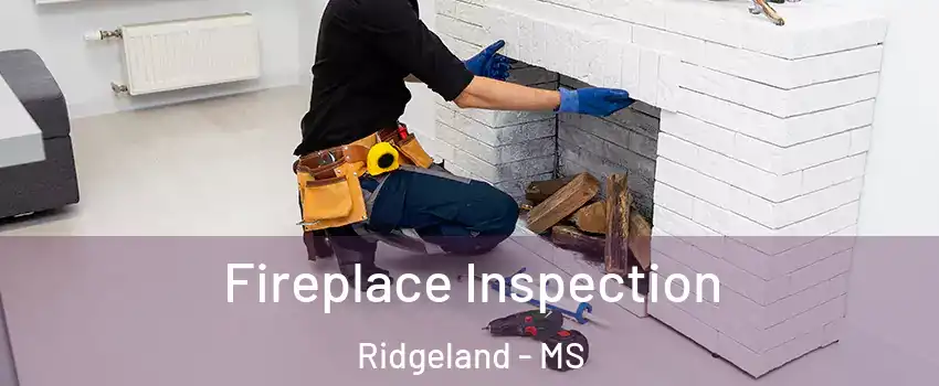  Fireplace Inspection Ridgeland - MS
